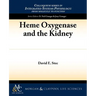 Heme Oxygenase and the Kidney