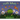 Firefly Lullaby
