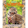In the Jaguar's House