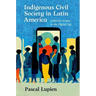 Indigenous Civil Society in Latin America: Collective Action in the Digital Age