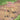 Louie and Loucie: Have Guests Over!