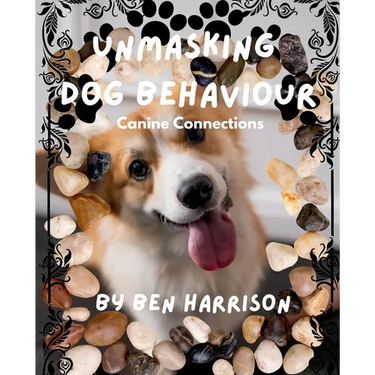 Unmasking Dog Behaviour: Canine Connections