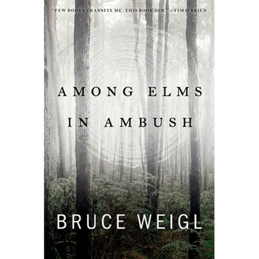 Among Elms, in Ambush