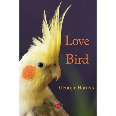 Love Bird