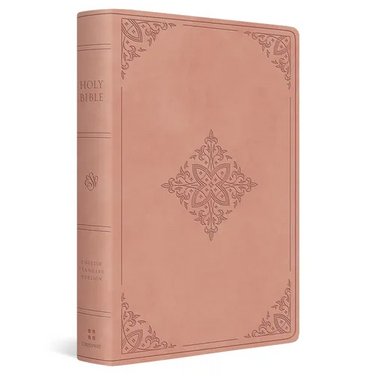 ESV Giant Print Value Personal Size Bible (Trutone, Blush Rose, Fleur-De-Lis Design)