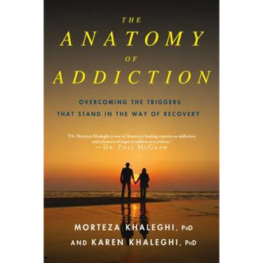 Anatomy of Addiction