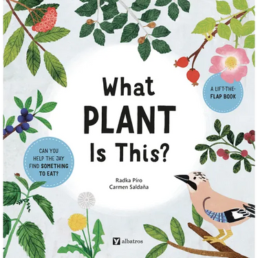 What Plant Is This?
