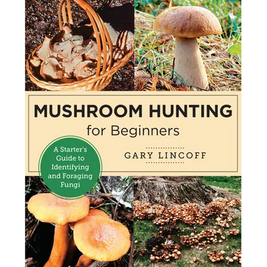 Mushroom Hunting for Beginners: A Starter's Guide to Identifying and Foraging Fungi