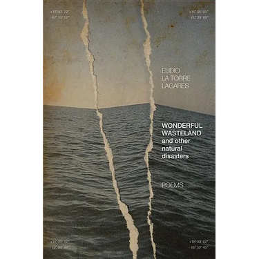 Wonderful Wasteland and Other Natural Disasters: Poems
