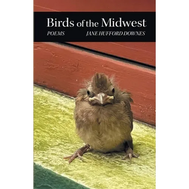 Birds of the Midwest