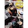 Demon Slayer: Kimetsu No Yaiba, Vol. 2: It Was You