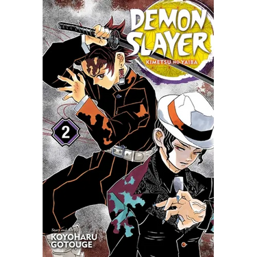 Demon Slayer: Kimetsu No Yaiba, Vol. 2: It Was You