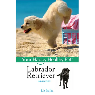 Labrador Retriever: Your Happy Healthy Pet