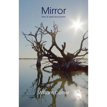 Mirror: New & selected poems