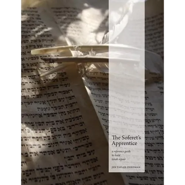 The Soferet's Apprentice: a reference guide to basic torah repair