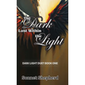 The Dark Lost Within the Light: Dark Light Duet Book One
