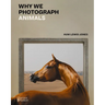 Why We Photograph Animals