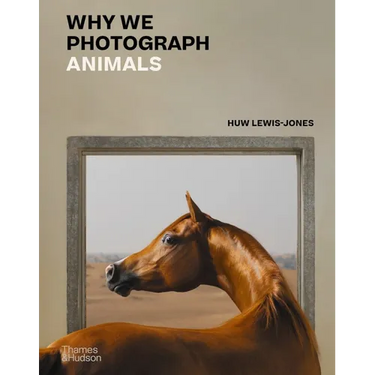 Why We Photograph Animals
