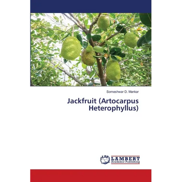 Jackfruit (Artocarpus Heterophyllus)
