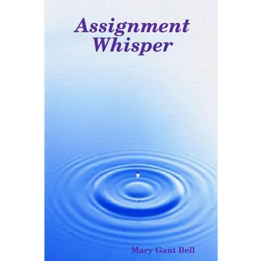 Assignment Whisper
