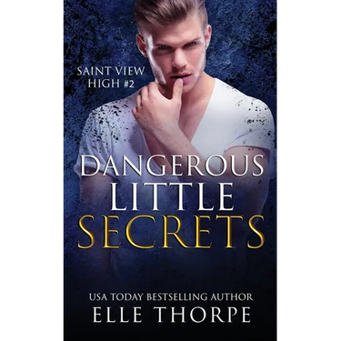 Dangerous Little Secrets: A Reverse Harem Bully Romance