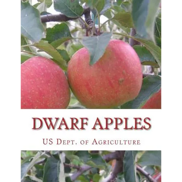 Dwarf Apples