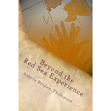 Beyond The Red Sea Experience