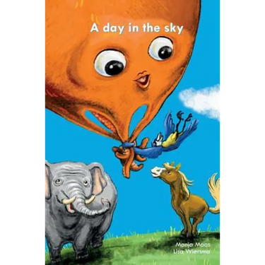 A day in the sky