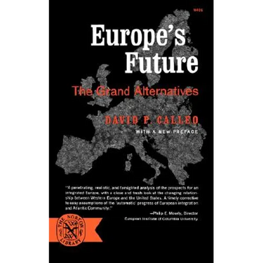 Europe's Future: The Grand Alternatives