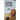The Incredible Adventures of Casper the Cat Who Got Lost in Africa: Book 5: The Lions