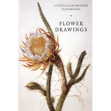 Flower Drawings