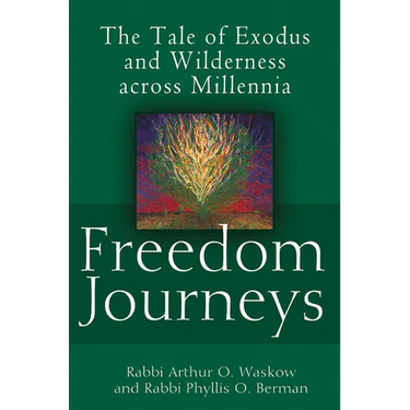 Freedom Journeys: The Tale of Exodus and Wilderness Across Millennia