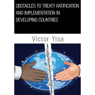 Obstacles to Treaty Ratification and Implementation in Developing Countries