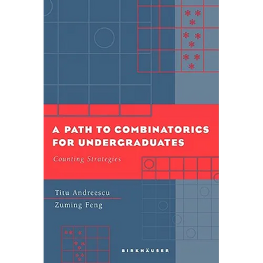 A Path to Combinatorics for Undergraduates: Counting Strategies