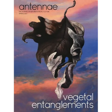 Antennae #53 Vegetal Entanglements #3