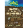 Rootin' in the Rhizosphere: Growing up in Ecosystem Ecology