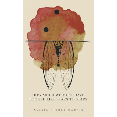 How Much We Must Have Looked Like Stars To Stars: Winner of the 2015 New Women's Voices Series