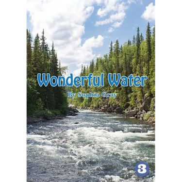 Wonderful Water