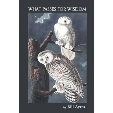 What Passes for Wisdom