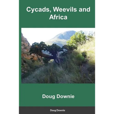 Cycads, Weevils, and Africa