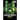 10-Minute True Cursed Castle Stories