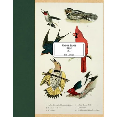 Vintage Prints: Birds: Vol. 7
