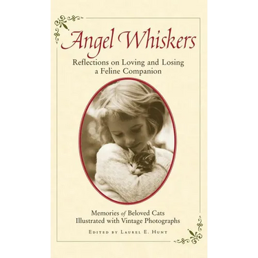 Angel Whiskers: Reflections on Loving and Losing a Feline Companion