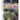 Planting: A New Perspective
