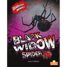 Black Widow Spider