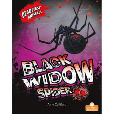 Black Widow Spider