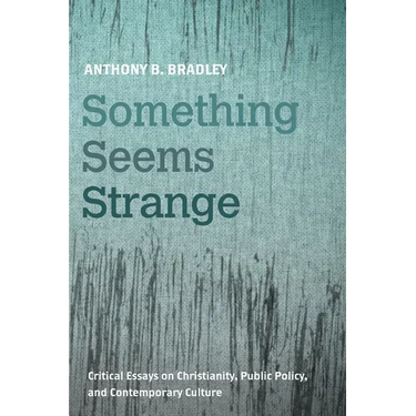 Something Seems Strange: Critical Essays on Christianity, Public Policy, and Contemporary Culture
