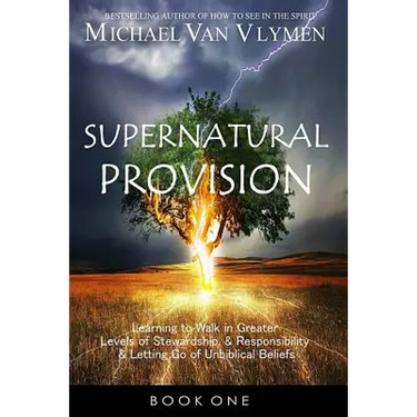 Supernatural Provision: Learning to Walk in Greater Levels of Stewardship and Responsibilty and Letting Go of Unbiblical Beliefs