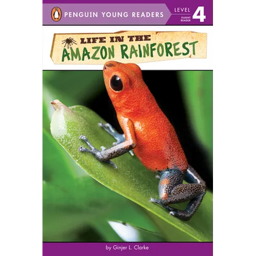 Life in the Amazon Rainforest