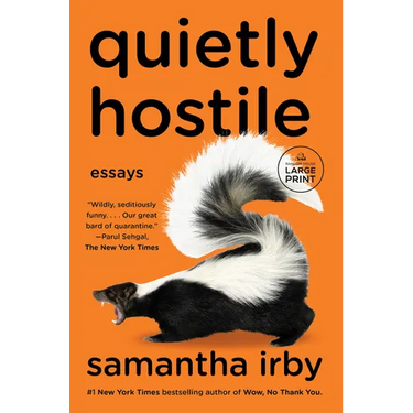 Quietly Hostile: Essays